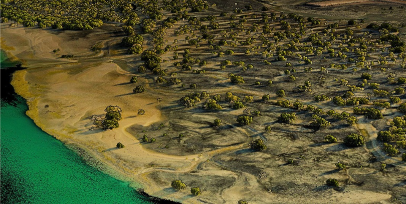 Financial Imperative