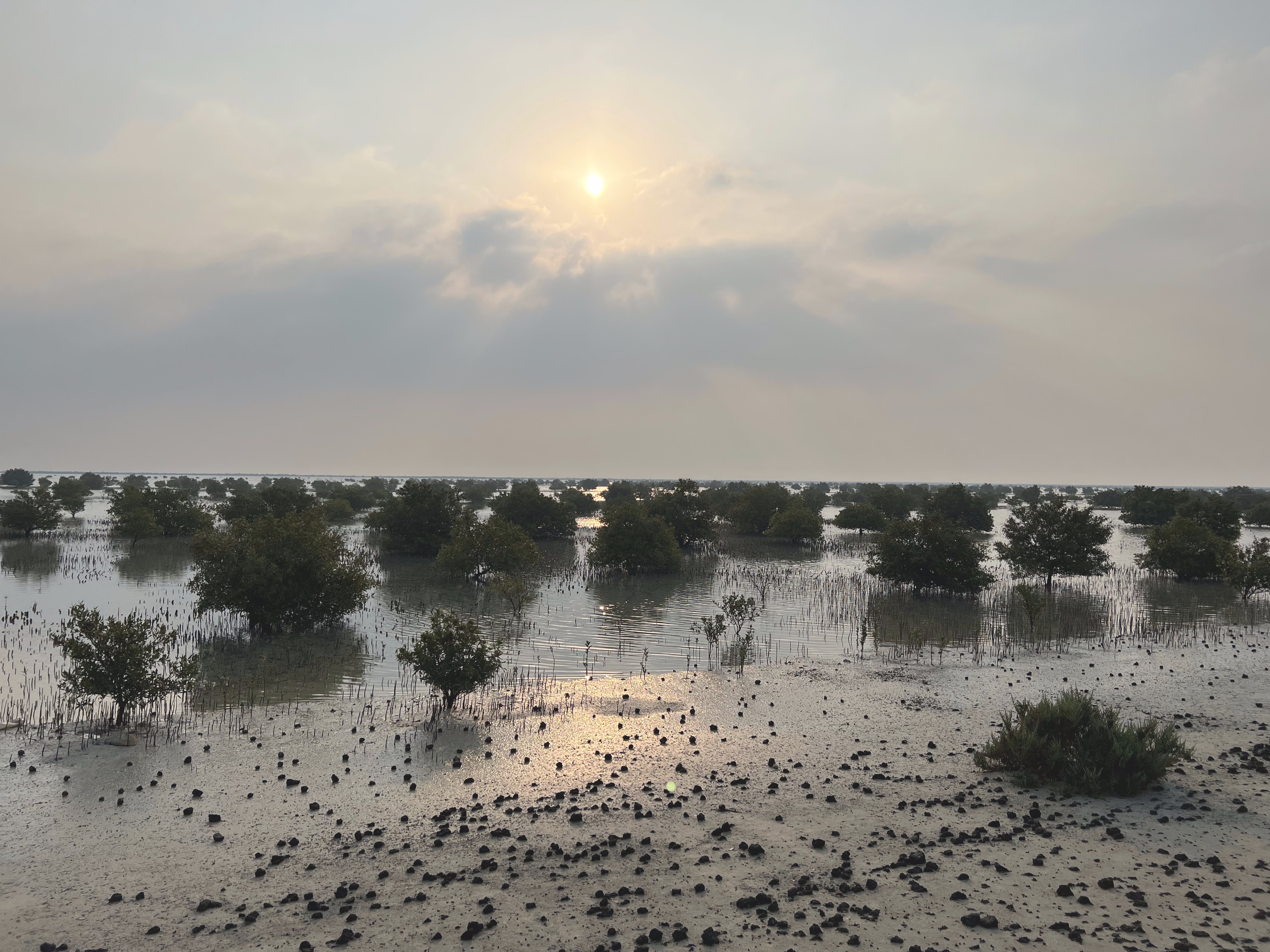 Nabat Uses AI For Sustainability