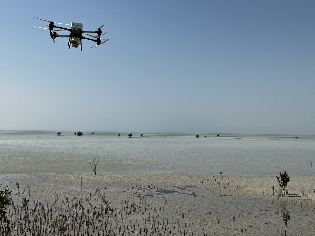 Mapping - Surveying Habitat and Elevation Data