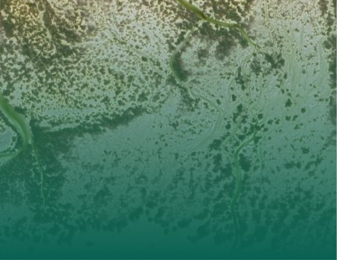 Mapping - Surveying Habitat and Elevation Data